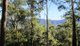 Photo - Lot 95 Kennaicle Road, Missabotti NSW 2449 - Image 2