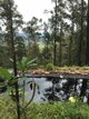 Photo - Lot 95 Kennaicle Road, Missabotti NSW 2449 - Image 9