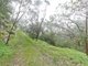 Photo - Lot 96 Norton Summit Road, Teringie SA 5072 - Image 1