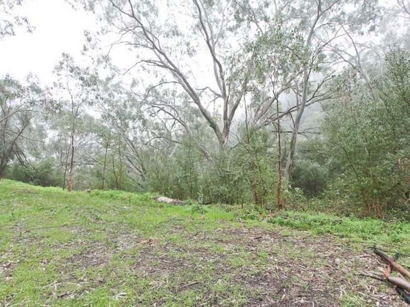 Photo - Lot 96 Norton Summit Road, Teringie SA 5072 - Image 2