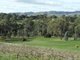 Photo - Lot 98 Needles Road, Williamstown SA 5351 - Image 2