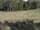 Photo - Lot 98 Needles Road, Williamstown SA 5351 - Image 7