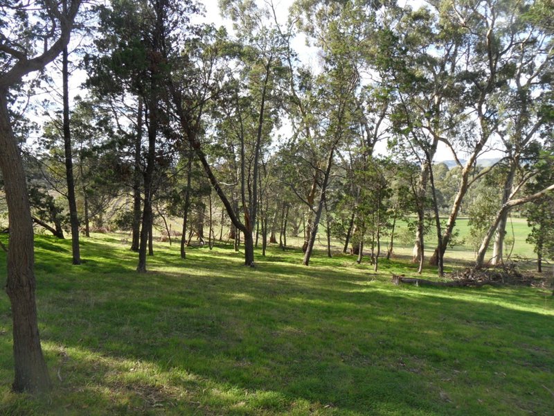 Photo - Lot 98 Needles Road, Williamstown SA 5351 - Image 11