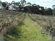 Photo - Lot 98 Needles Road, Williamstown SA 5351 - Image 12