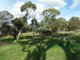 Photo - Lot 98 Needles Road, Williamstown SA 5351 - Image 13