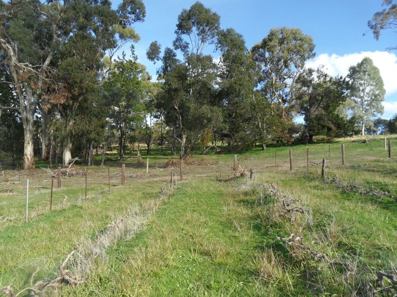 Photo - Lot 98 Needles Road, Williamstown SA 5351 - Image 16