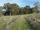 Photo - Lot 98 Needles Road, Williamstown SA 5351 - Image 17