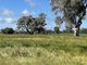 Photo - Lot 992 Holbrook Wagga Road, Cookardinia NSW 2650 - Image 2