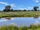 Photo - Lot 992 Holbrook Wagga Road, Cookardinia NSW 2650 - Image 5