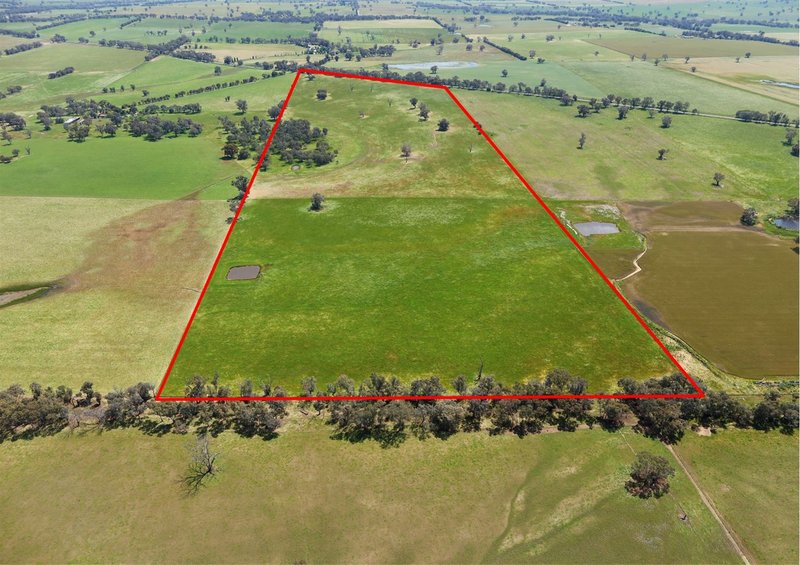 Photo - Lot 992 Holbrook Wagga Road, Cookardinia NSW 2650 - Image 6