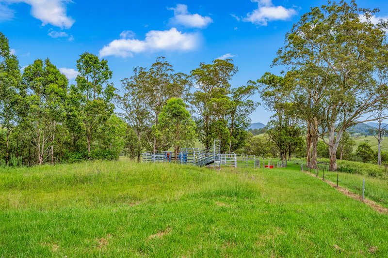 Photo - Lot A Kia Ora Road, Gloucester NSW 2422 - Image 23