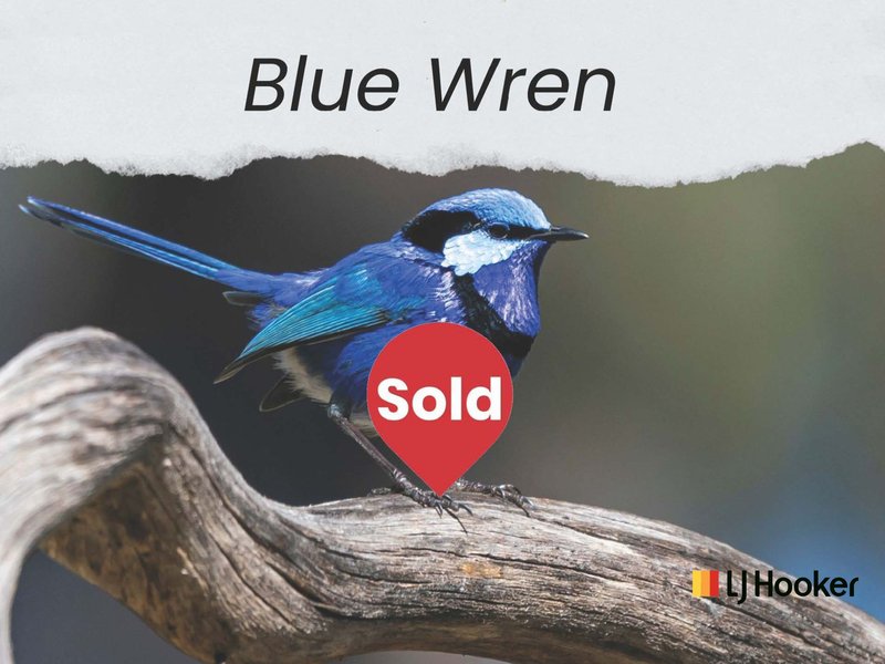 Photo - Lot Blue Wren Estate/2 Wagtail Street, Narromine NSW 2821 - Image 8