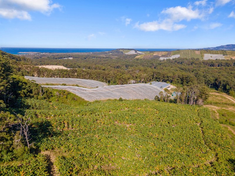 Photo - Lot Lot 1 Greys Road, Woolgoolga NSW 2456 - Image 5