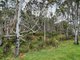 Photo - Lot Lot 1/221 Irish Town Road, St Marys TAS 7215 - Image 5