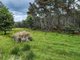 Photo - Lot Lot 1/221 Irish Town Road, St Marys TAS 7215 - Image 6