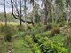 Photo - Lot Lot 1/221 Irish Town Road, St Marys TAS 7215 - Image 9