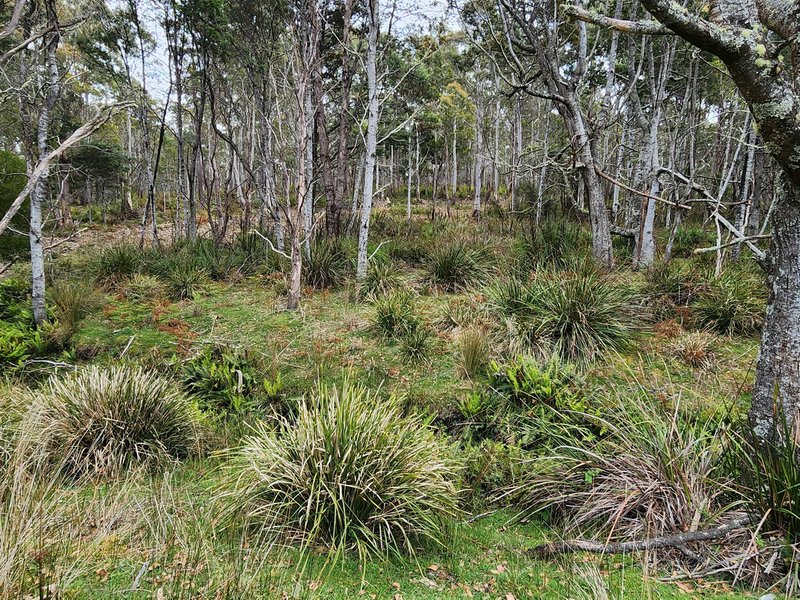 Photo - Lot Lot 1/221 Irish Town Road, St Marys TAS 7215 - Image 10