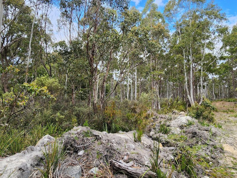 Photo - Lot Lot 1/221 Irish Town Road, St Marys TAS 7215 - Image 11