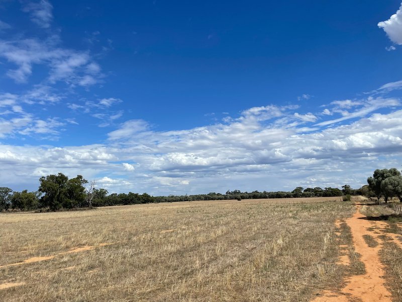 Photo - Lot Lot 6 Hogans Lane, Deniliquin NSW 2710 - Image 5