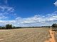 Photo - Lot Lot 6 Hogans Lane, Deniliquin NSW 2710 - Image 5