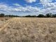 Photo - Lot Lot 6 Hogans Lane, Deniliquin NSW 2710 - Image 6