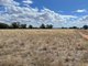 Photo - Lot Lot 6 Hogans Lane, Deniliquin NSW 2710 - Image 7