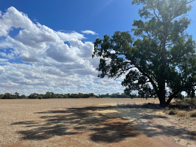 Photo - Lot Lot 6 Hogans Lane, Deniliquin NSW 2710 - Image 9