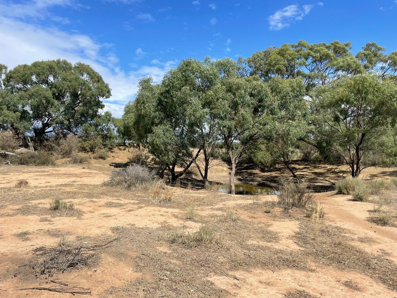 Photo - Lot Lot 6 Hogans Lane, Deniliquin NSW 2710 - Image 10