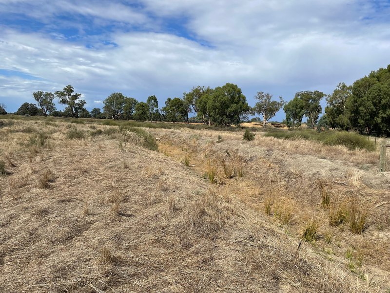 Photo - Lot Lot 6 Hogans Lane, Deniliquin NSW 2710 - Image 13