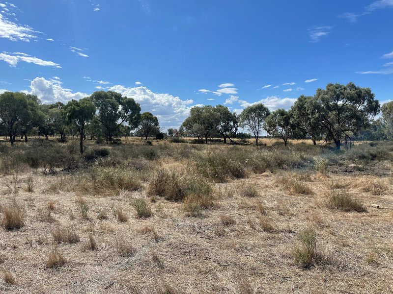 Photo - Lot Lot 6 Hogans Lane, Deniliquin NSW 2710 - Image 14