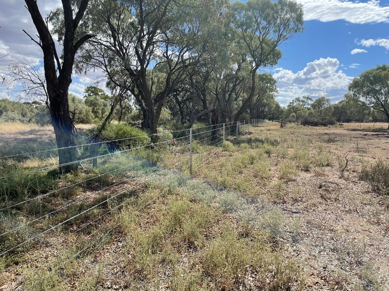 Photo - Lot Lot 6 Hogans Lane, Deniliquin NSW 2710 - Image 15