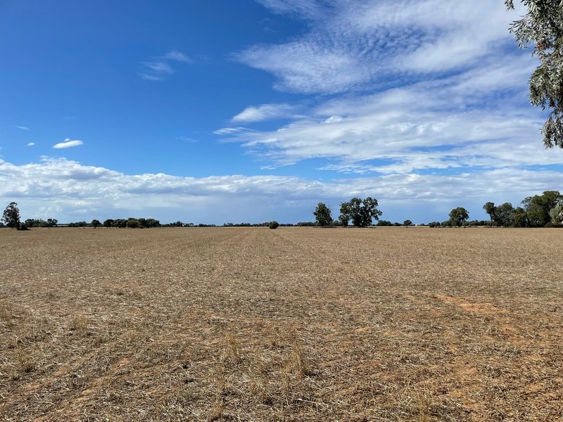 Photo - Lot Lot 6 Hogans Lane, Deniliquin NSW 2710 - Image 18