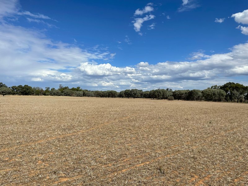 Photo - Lot Lot 6 Hogans Lane, Deniliquin NSW 2710 - Image 20