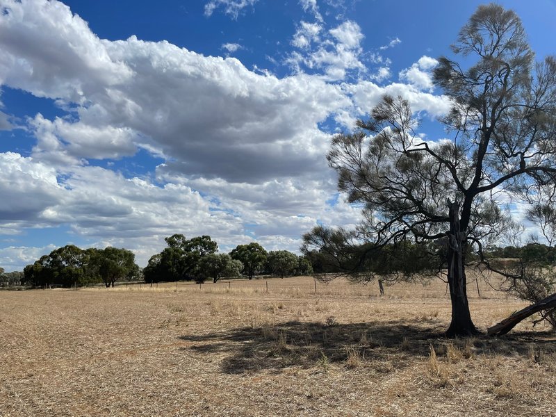 Photo - Lot Lot 6 Hogans Lane, Deniliquin NSW 2710 - Image 21