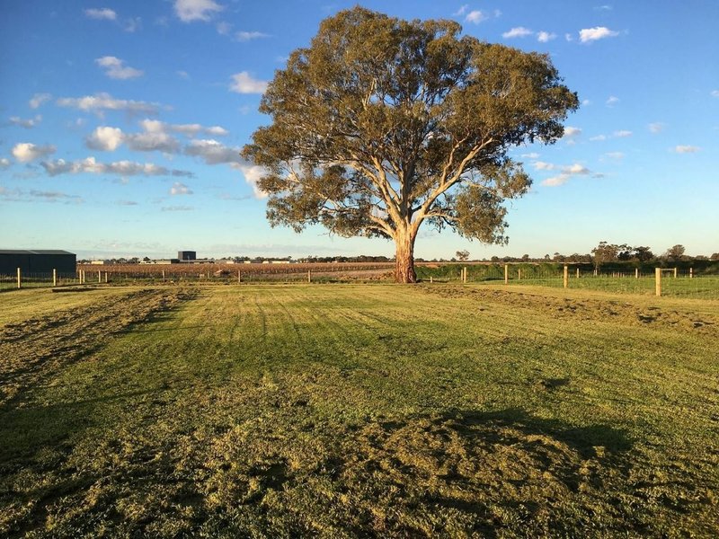 Lot Lot 71 49 Cabernet Dr , Moama NSW 2731