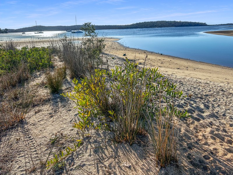 Photo - Lot Part of 228 Binalong Bay Road, St Helens TAS 7216 - Image 9