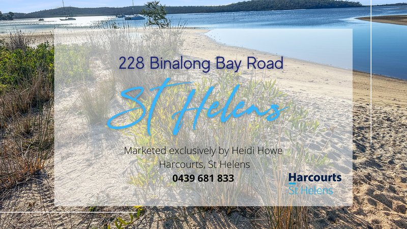 Photo - Lot Part of 228 Binalong Bay Road, St Helens TAS 7216 - Image 13