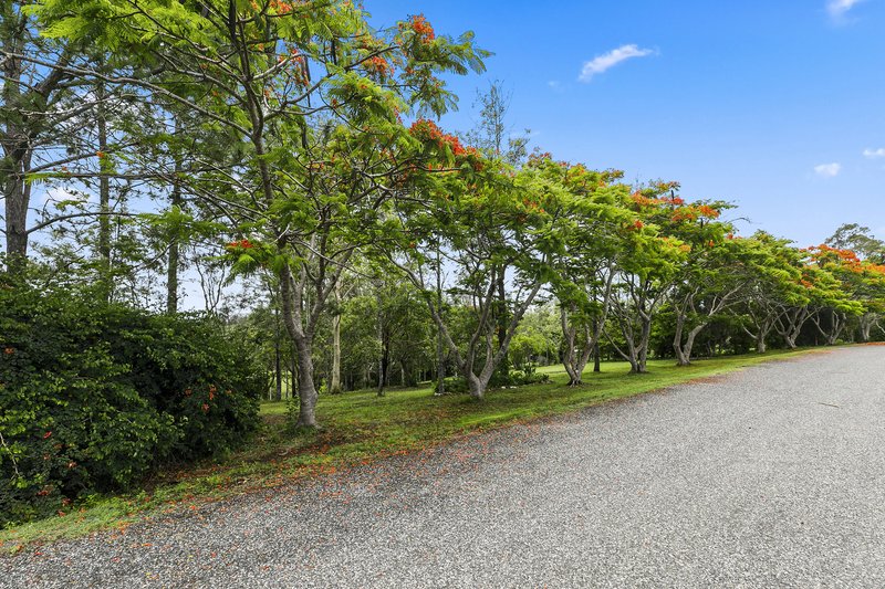 Photo - Lot Proposed  1 Proposed Lot 1/97 Campbell Rd , East Deep Creek QLD 4570 - Image 8