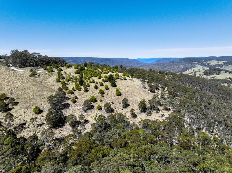 Photo - Lot/129 Sheepstation Forest Road, Oberon NSW 2787 - Image 4