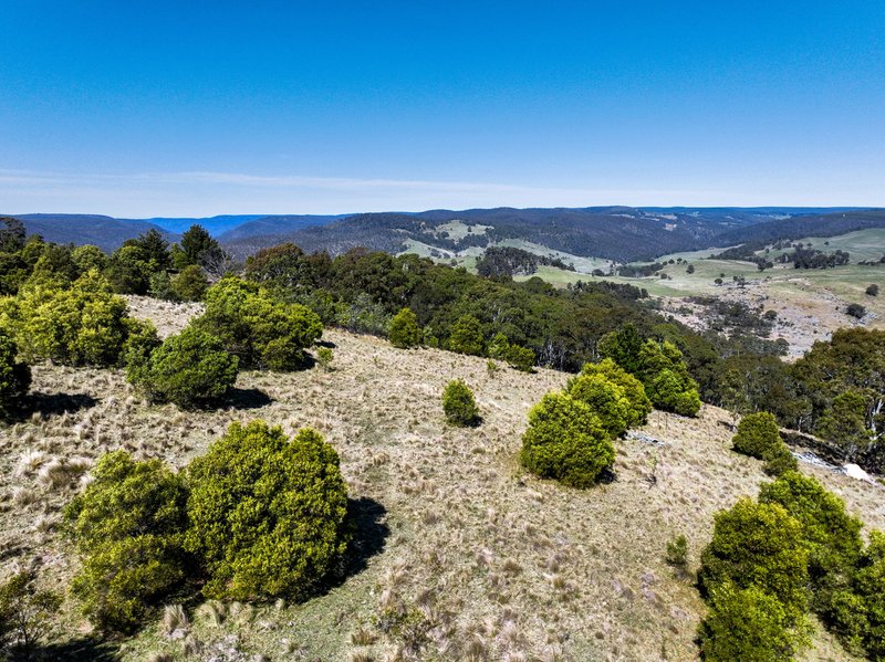 Photo - Lot/129 Sheepstation Forest Road, Oberon NSW 2787 - Image 6