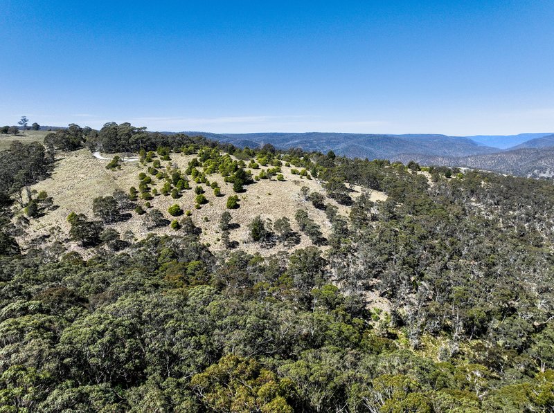 Photo - Lot/129 Sheepstation Forest Road, Oberon NSW 2787 - Image 9