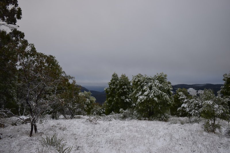 Photo - Lot/129 Sheepstation Forest Road, Oberon NSW 2787 - Image 14