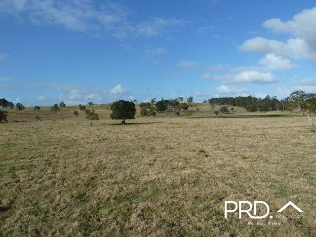 Photo - Lot2/950 Benns Road, Shannon Brook NSW 2470 - Image 3