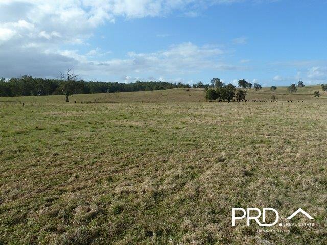 Photo - Lot2/950 Benns Road, Shannon Brook NSW 2470 - Image 4