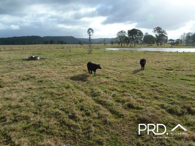 Photo - Lot2/950 Benns Road, Shannon Brook NSW 2470 - Image 6