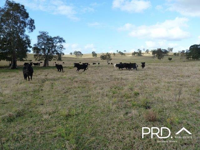 Photo - Lot2/950 Benns Road, Shannon Brook NSW 2470 - Image 8