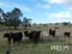 Photo - Lot2/950 Benns Road, Shannon Brook NSW 2470 - Image 11