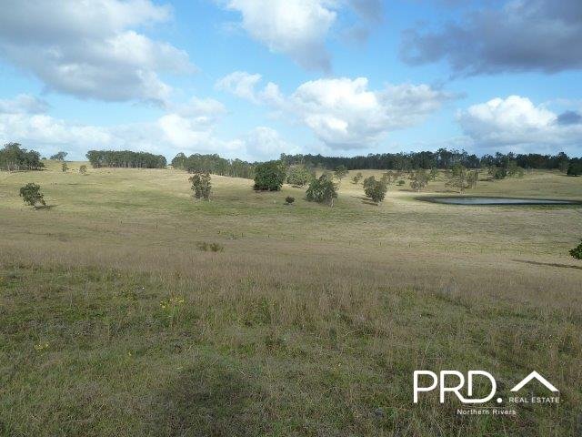 Photo - Lot2/950 Benns Road, Shannon Brook NSW 2470 - Image 12