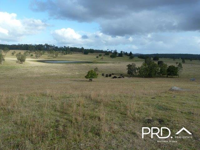 Photo - Lot2/950 Benns Road, Shannon Brook NSW 2470 - Image 13