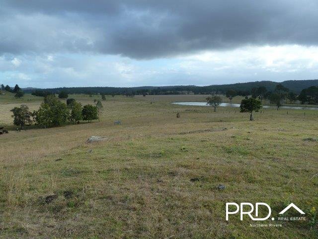 Photo - Lot2/950 Benns Road, Shannon Brook NSW 2470 - Image 14